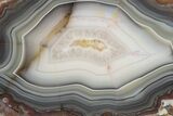 Polished Banded Agate Nodule Slice - Kerrouchen, Morocco #186956-1